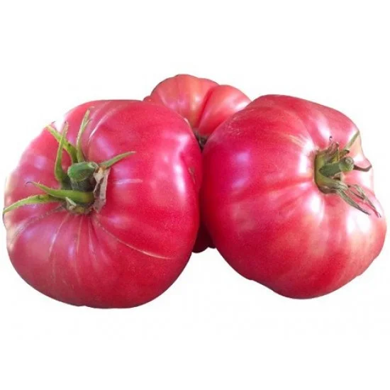 СОРТОВИ СЕМЕНА ДОМАТИ ЕДЪР РОЗОВ