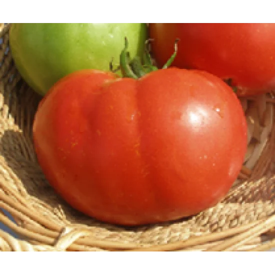 СОРТОВИ СЕМЕНА ДОМАТИ БГ ГРАМАДА