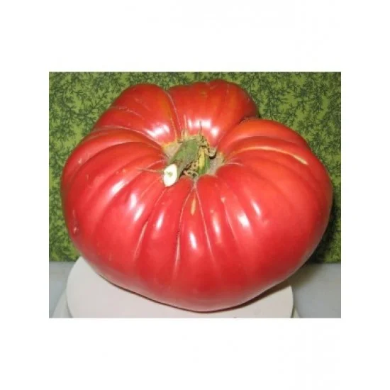 СОРТОВИ СЕМЕНА ДОМАТИ ЕДЪР ЧЕРВЕН