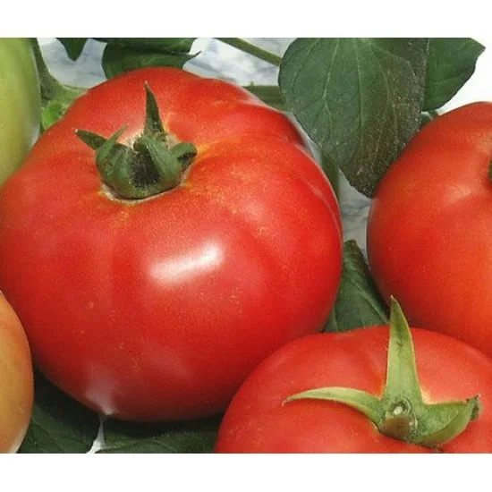 СОРТОВИ СЕМЕНА ДОМАТИ НАСЛАДА