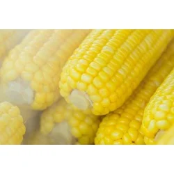 СОРТОВИ СЕМЕНА ЦАРЕВИЦА ЗАХАРНА 