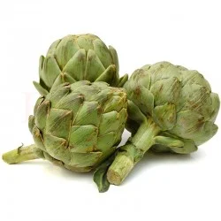 СОРТОВИ СЕМЕНА АРТИШОК