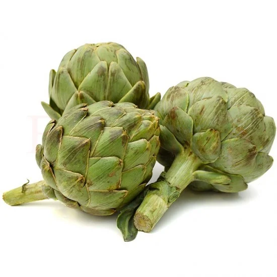 СОРТОВИ СЕМЕНА АРТИШОК