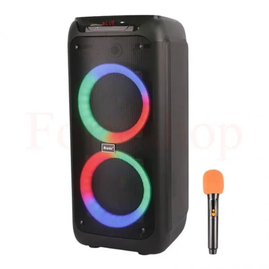 brodu bts-2173 bluetooth karaoke speaker dual 8 inch
