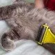 Двустранен гребен за отстраняване на мъртвата козина