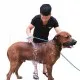 ПОДВИЖЕН ДУШ С ЧЕТКА ЗА КЪПАНЕ НА ДОМАШНИ ЛЮБИМЦИ