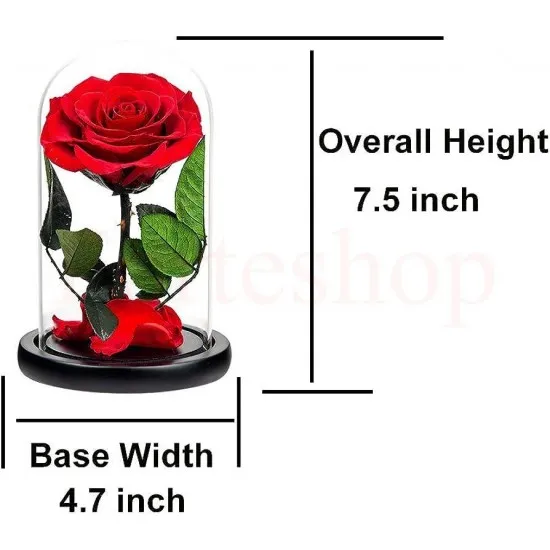 ЛУКСОЗНА  LED РОЗА В СТЪКЛЕНИЦА