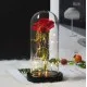 ЛУКСОЗНА  LED РОЗА В СТЪКЛЕНИЦА