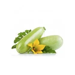 СОРТОВИ СЕМЕНА ТИКВИЧКА ИЗОБИЛНА