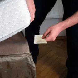 РЕПЕЛЕНТНИ ПЛИКЧЕТА ПРОТИВ АКАРИ