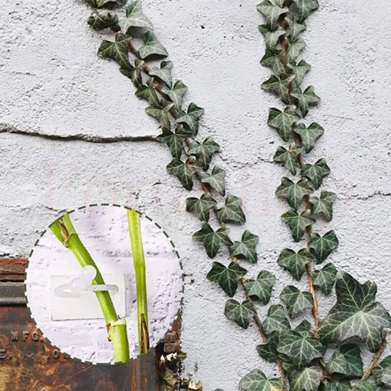 Клипс щипки за хващане и аранжиране на цветя 50 бр