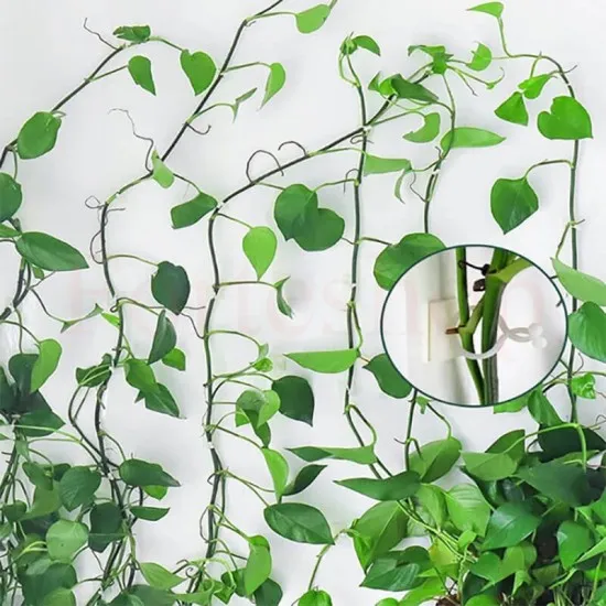 Клипс щипки за хващане и аранжиране на цветя 50 бр